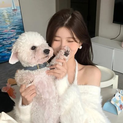 青春恋爱梦